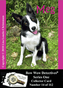 Photo Traders™ | Meg | Bow Wow Detectives®